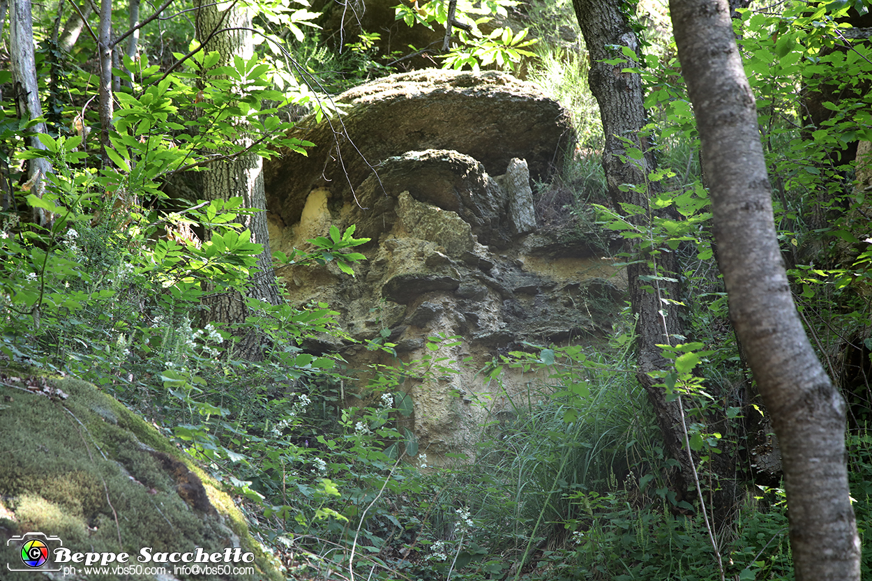 VBS_8905 - I Ciciu del Villar. Villar San Costanzo. Val Maira (Cuneo).jpg